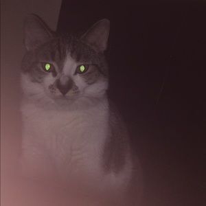 Meet your Posher, Faith